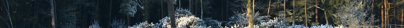 Huidverzorging in de winter - Richards-Specials-Store.com