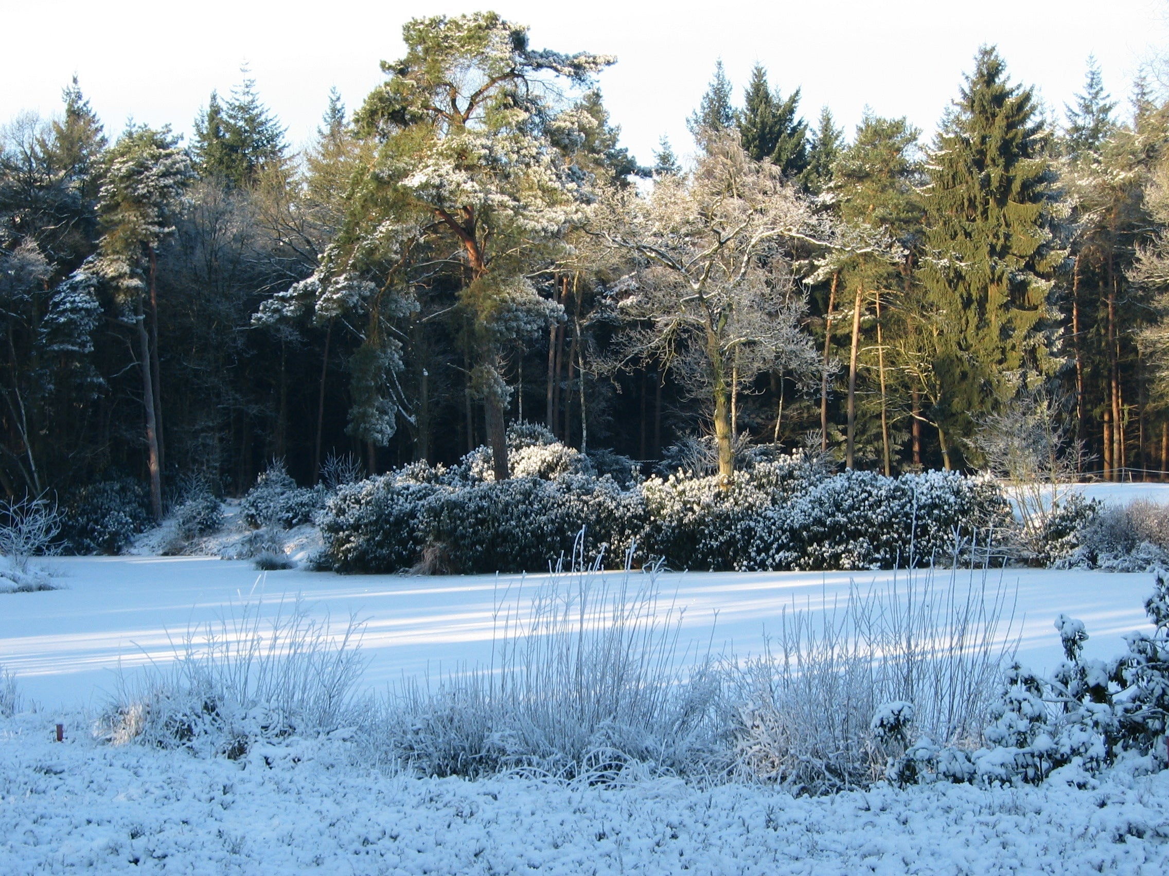 Huidverzorging in de winter