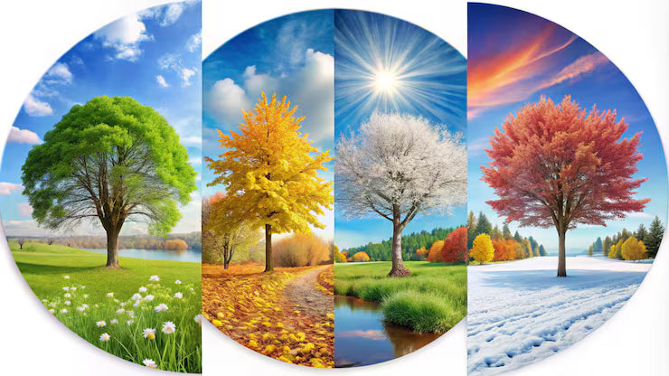 Stralend het hele jaar door: essentiële cosmetica voor elk seizoen - Richards-Specials-Store.com