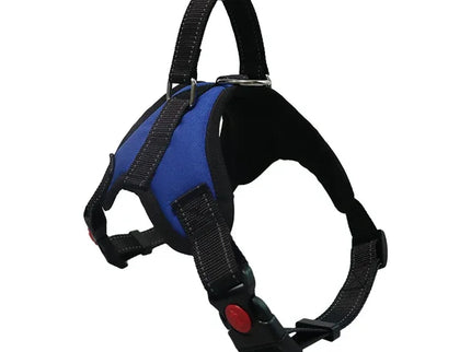 Adjustable Dog Harness & Leash Set