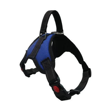 Adjustable Dog Harness & Leash Set