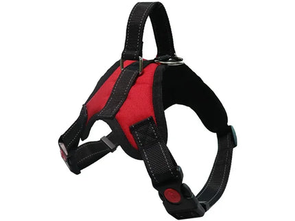 Adjustable Dog Harness & Leash Set