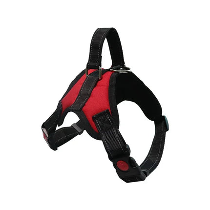 Adjustable Dog Harness & Leash Set