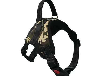 Adjustable Dog Harness & Leash Set