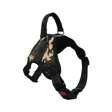 Adjustable Dog Harness & Leash Set