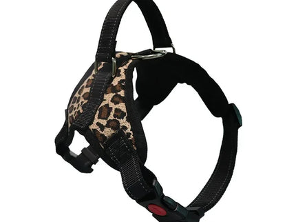 Adjustable Dog Harness & Leash Set