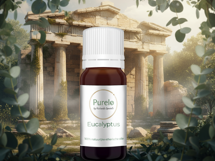 Eucalyptus - 10 Ml - 100% Natuurzuivere Etherische Olie