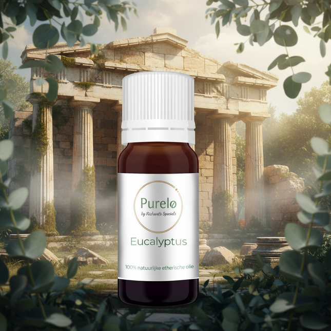 Eucalyptus - 10 Ml - 100% Natuurzuivere Etherische Olie