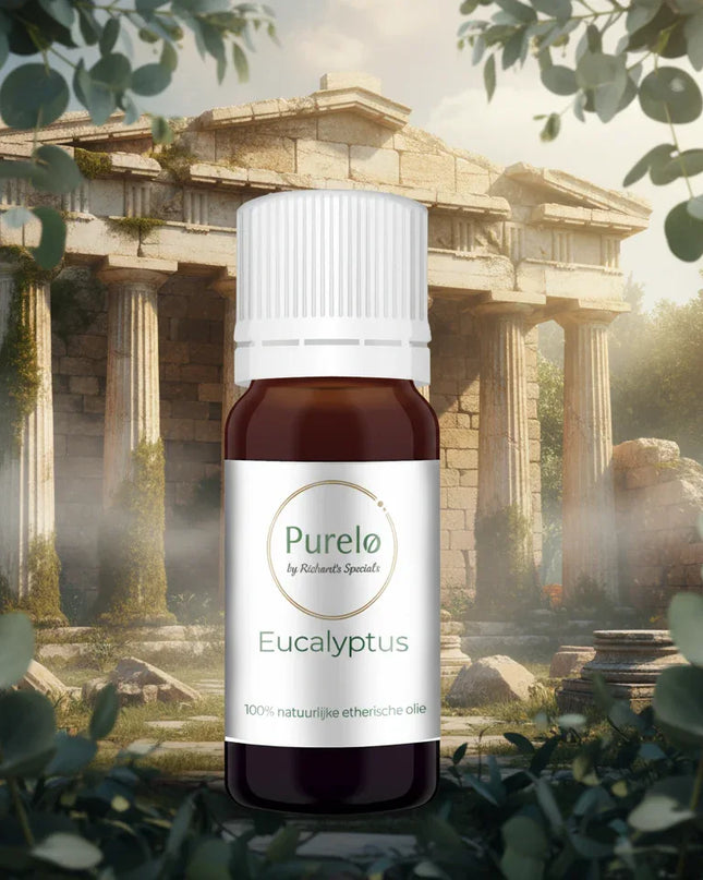 Eucalyptus - 10 Ml - 100% Natuurzuivere Etherische Olie - Richards-Specials-Store.com