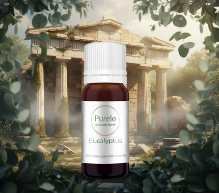 Eucalyptus - 10 Ml - 100% Natuurzuivere Etherische Olie