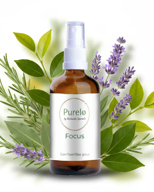 Focus - Room Spray Deluxe - 100 Ml - Richards-Specials-Store.com