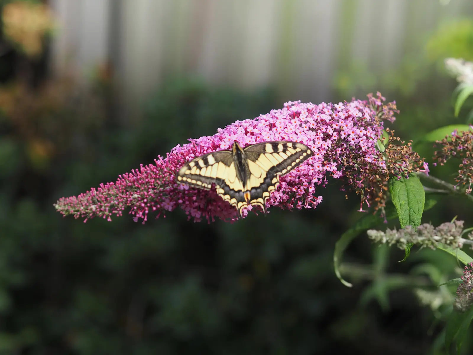 Abonneer je op onze nieuwsbrief