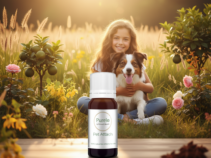 Pet Attach - 10 Ml - 100% Natuurzuivere Etherische Olie
