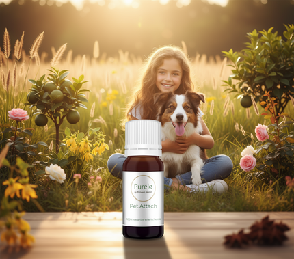 Pet Attach - 10 Ml - 100% Natuurzuivere Etherische Olie