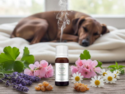 Pet Relax (Dog) - 10 Ml - 100% Natuurzuivere Etherische Olie