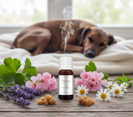 Pet Relax (Dog) - 10 Ml - 100% Natuurzuivere Etherische Olie