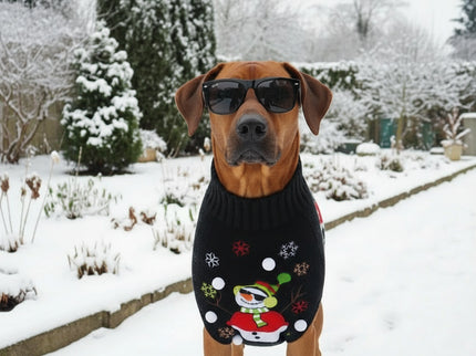 Ridgeback met zwarte foute kerstman kerst trui en een zwarte zonnebril op in de tuin in de sneeuw 