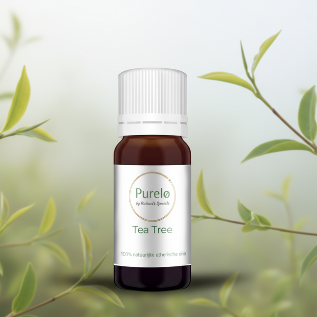 Tea Tree - 10 Ml - 100% Natuurzuivere Etherische Olie