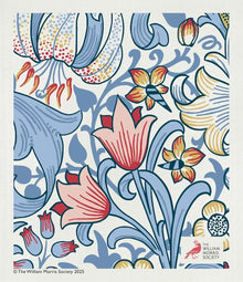 Golden Lily – Blue