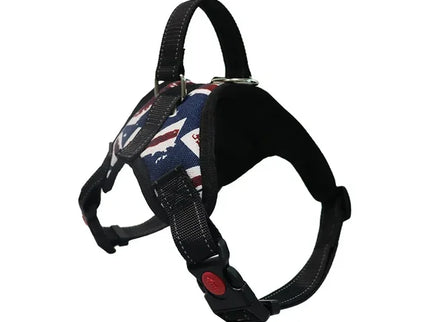 Adjustable Dog Harness & Leash Set