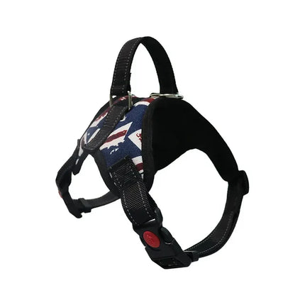 Adjustable Dog Harness & Leash Set