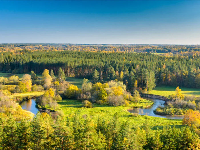 baltische_natuur - Richards-Specials-Store.com