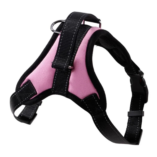 Adjustable Dog Harness & Leash Set