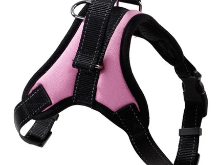 Adjustable Dog Harness & Leash Set