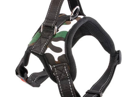Adjustable Dog Harness & Leash Set