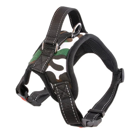 Adjustable Dog Harness & Leash Set
