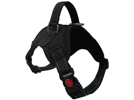 Adjustable Dog Harness & Leash Set