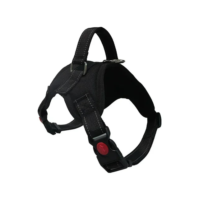 Adjustable Dog Harness & Leash Set