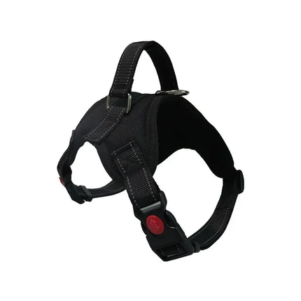 Adjustable Dog Harness & Leash Set