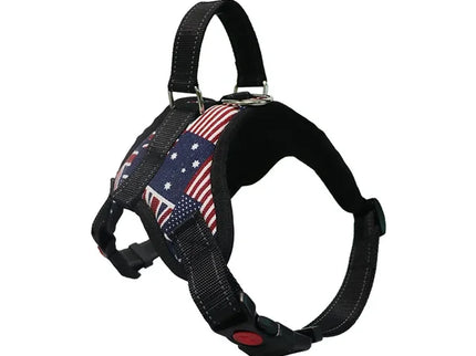 Adjustable Dog Harness & Leash Set