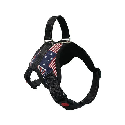 Adjustable Dog Harness & Leash Set