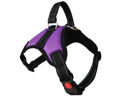 Adjustable Dog Harness & Leash Set