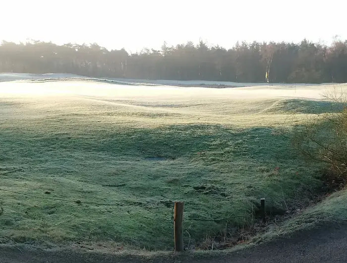<h2>Duurzame verzorging & lifestyle</h2><h3>Met zorg geselecteerde producten die bijdragen aan een bewuster leven.</h3><h4>Voor wie kwaliteit belangrijker vindt dan massaproductie.</h4>